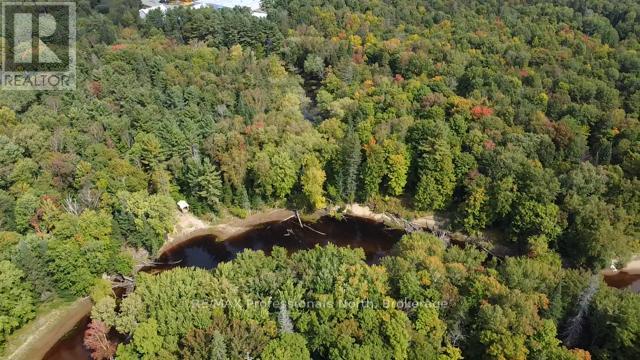304 Old North Road, Huntsville, Ontario  P1H 2J4 - Photo 18 - X11993776