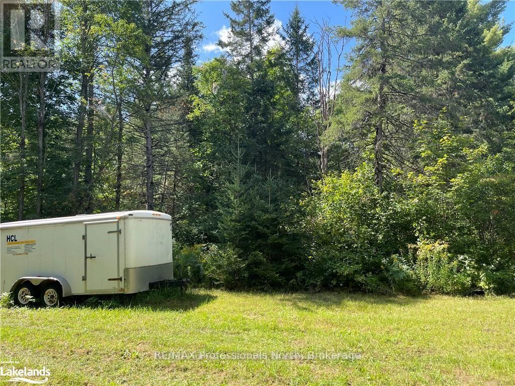 304 Old North Road, Huntsville, Ontario  P1H 2J4 - Photo 6 - X11993776