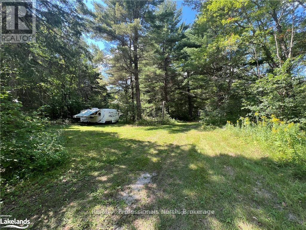 304 Old North Road, Huntsville, Ontario  P1H 2J4 - Photo 8 - X11993776