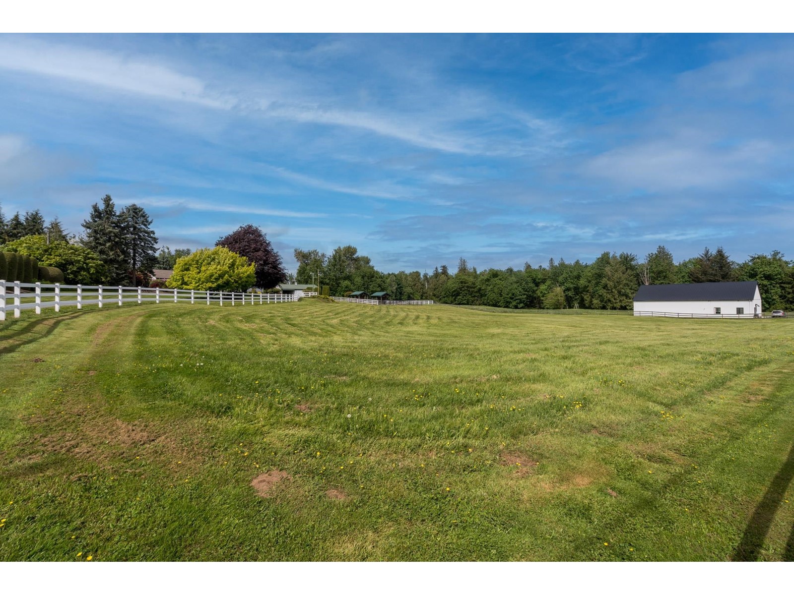 29903 Glengarry Avenue, Abbotsford, British Columbia  V4X 1Z7 - Photo 36 - R2971401