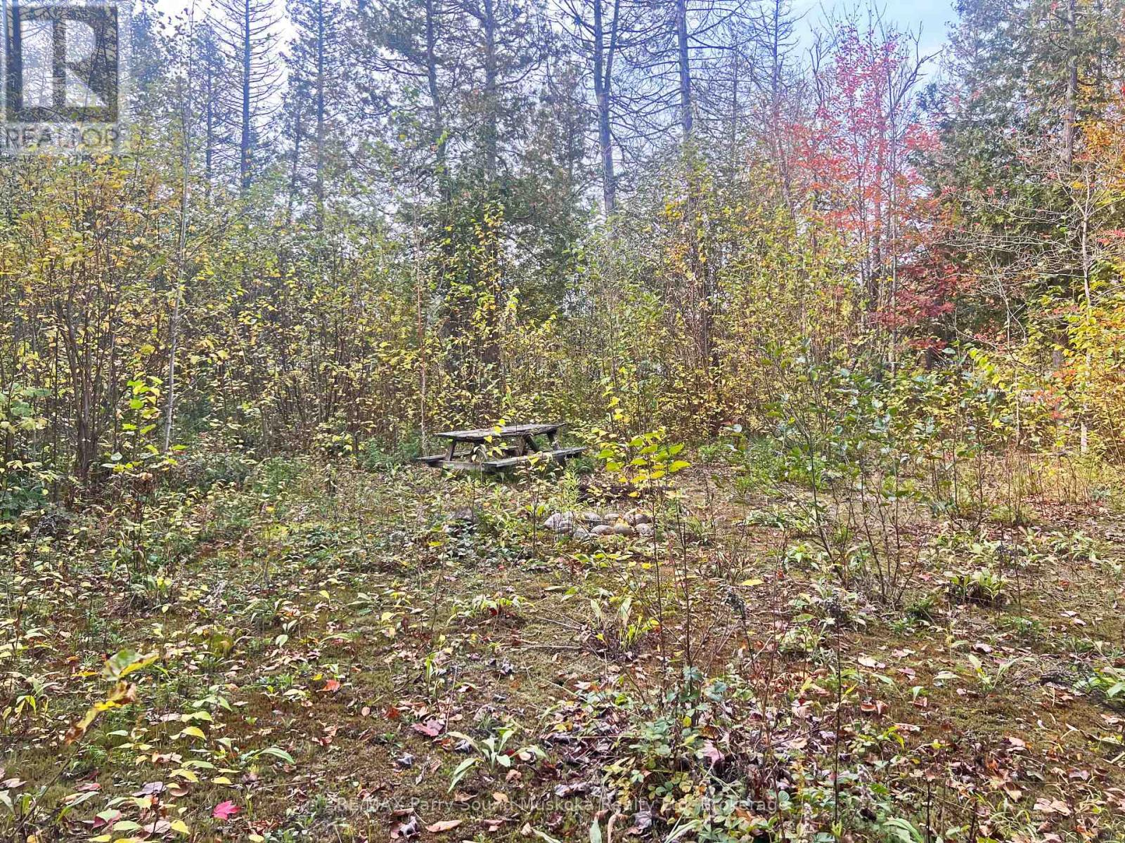 0 Chikopi Road, Magnetawan, Ontario  P0A 1P0 - Photo 10 - X11994590