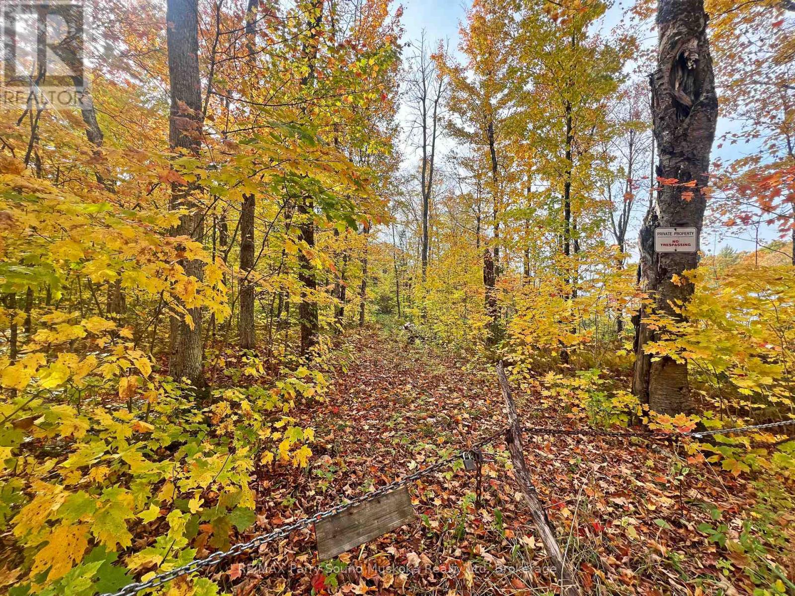 0 Chikopi Road, Magnetawan, Ontario  P0A 1P0 - Photo 6 - X11994590