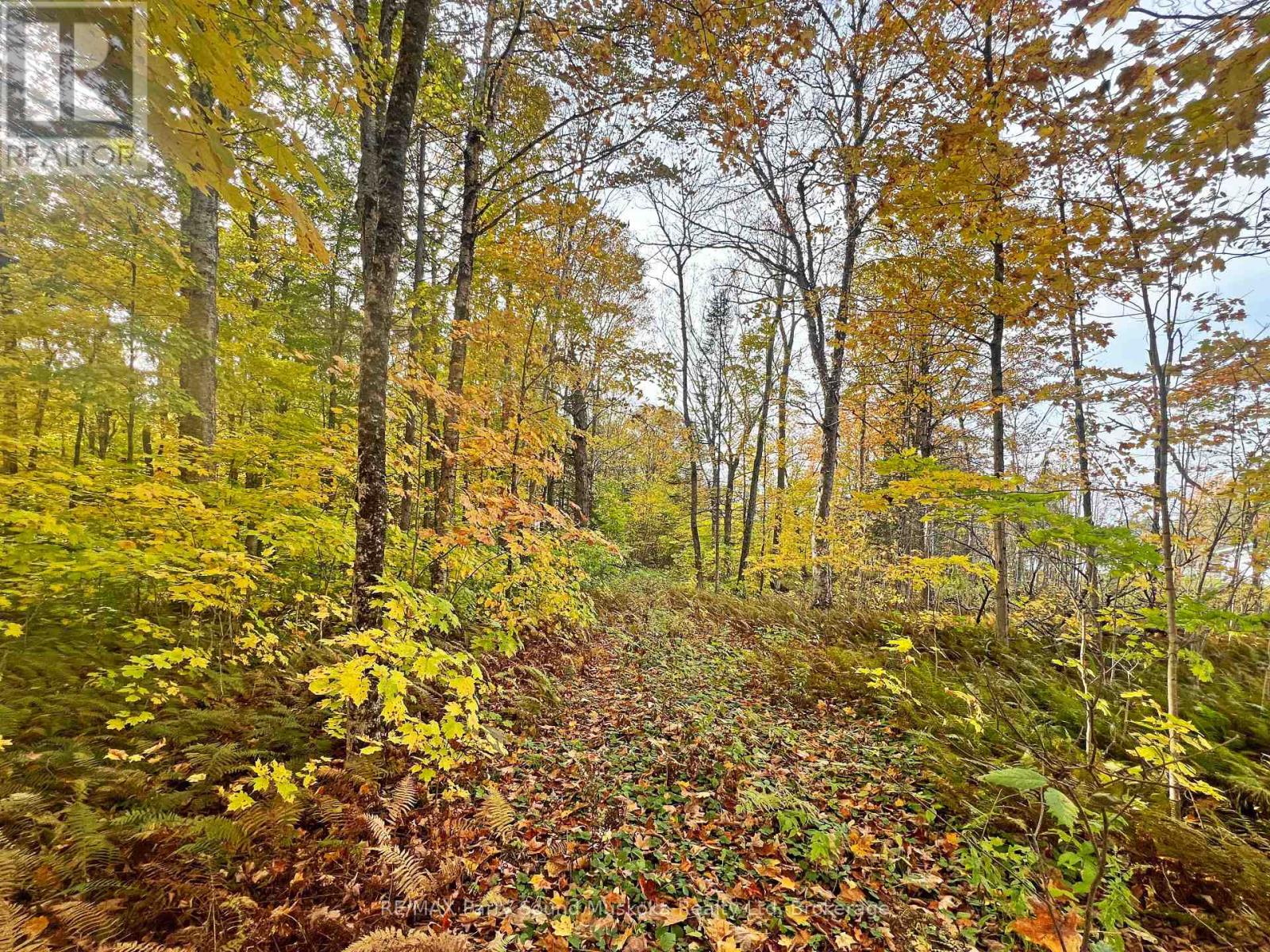 0 Chikopi Road, Magnetawan, Ontario  P0A 1P0 - Photo 8 - X11994590