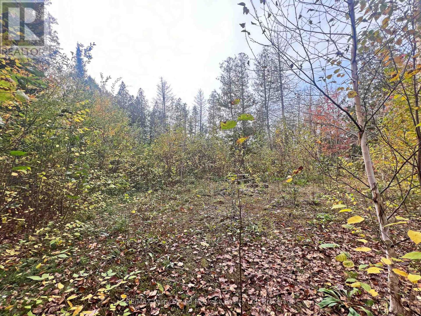 0 Chikopi Road, Magnetawan, Ontario  P0A 1P0 - Photo 9 - X11994590