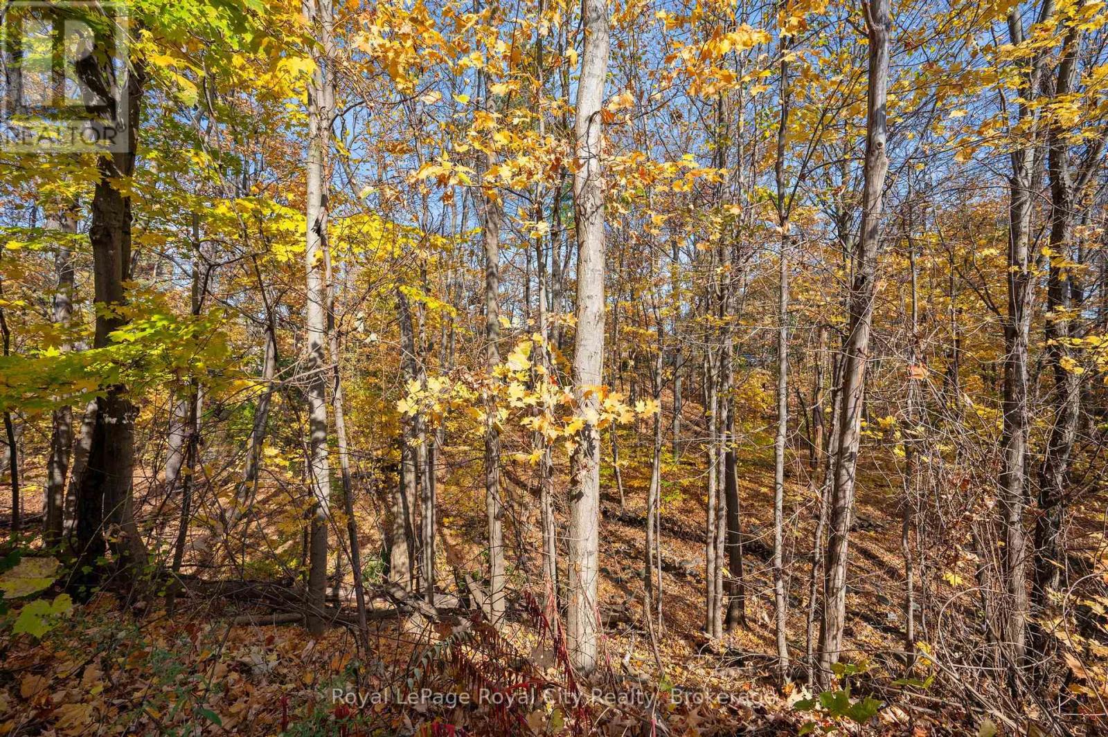 165 - 2050 Upper Middle Road, Burlington, Ontario  L7P 3R9 - Photo 29 - W11994601