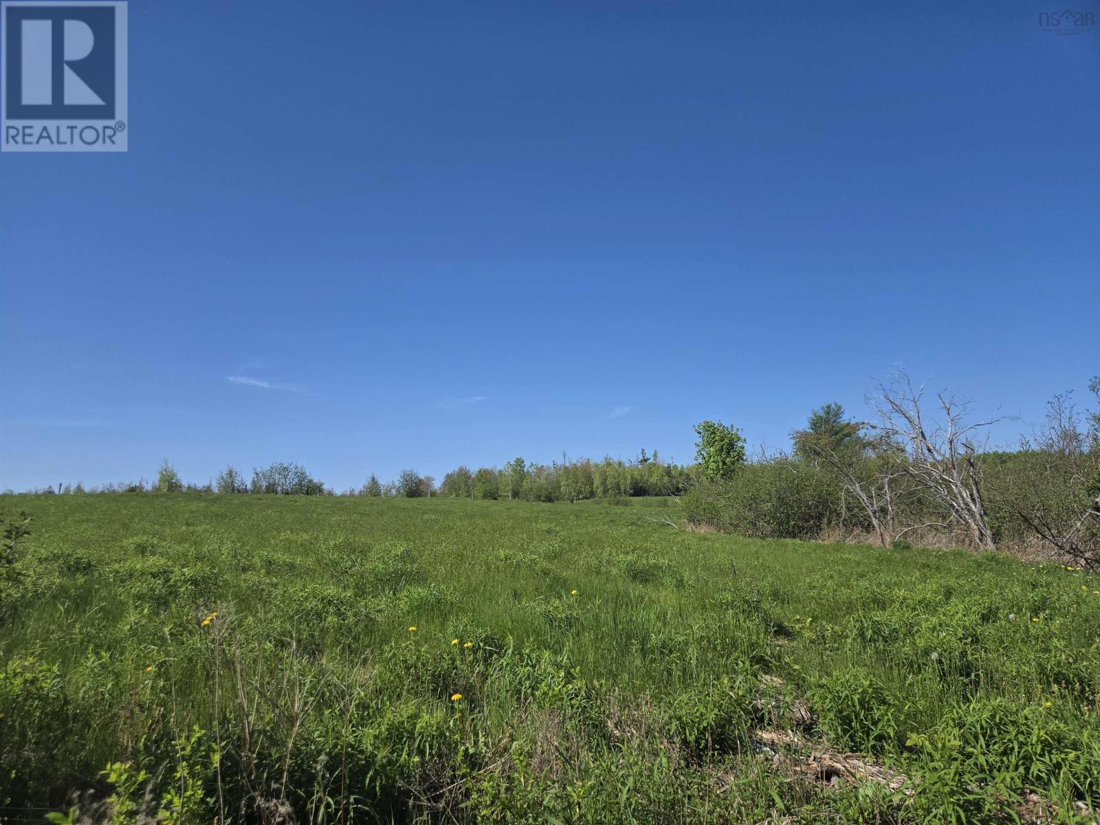 12 Acres Joudrey Road, Louisville, Nova Scotia  B0K 1V0 - Photo 2 - 202503859