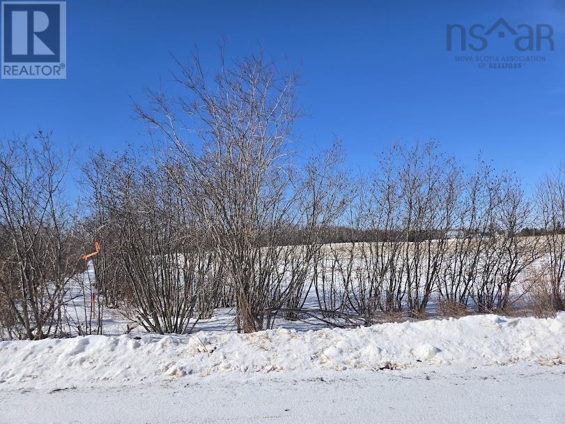 12 Acres Joudrey Road, Louisville, Nova Scotia  B0K 1V0 - Photo 4 - 202503859