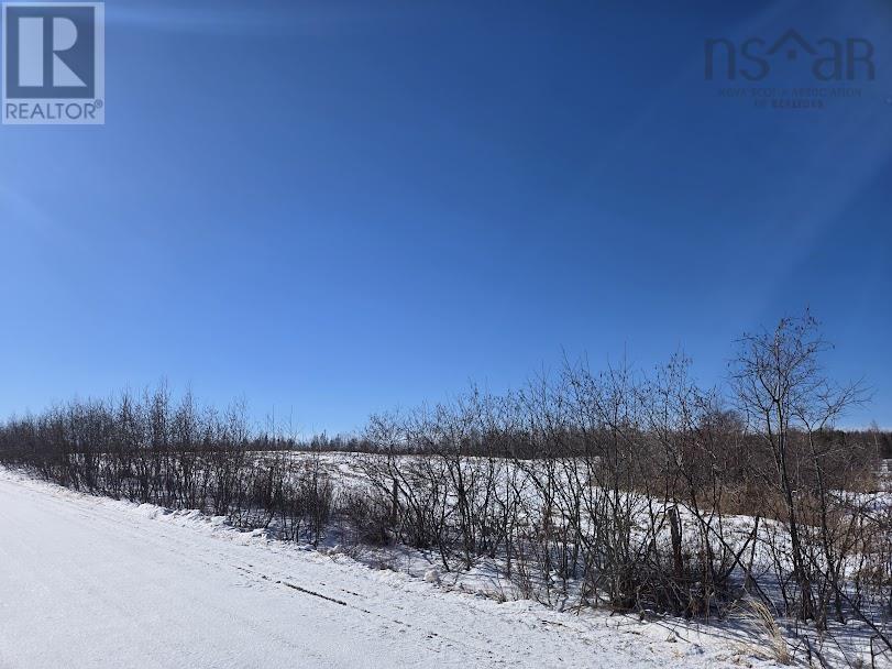 12 Acres Joudrey Road, Louisville, Nova Scotia  B0K 1V0 - Photo 6 - 202503859