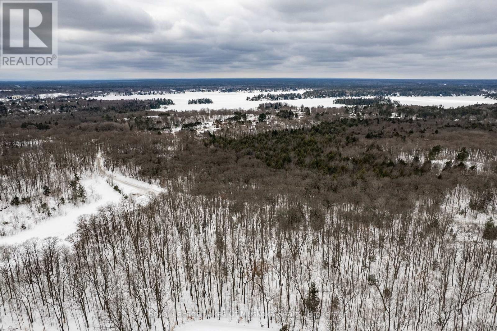 320 Pine Street E, Gravenhurst, Ontario  P1P 1B1 - Photo 41 - X11993224