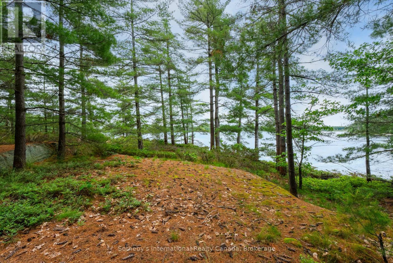 16lk-1 Wolf Island, Gravenhurst, Ontario  P0E 1G0 - Photo 20 - X11994691