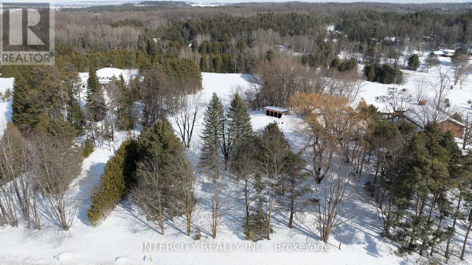 1915 Simcoe County Rd 50, New Tecumseth, Ontario  L0G 1W0 - Photo 2 - N11994850