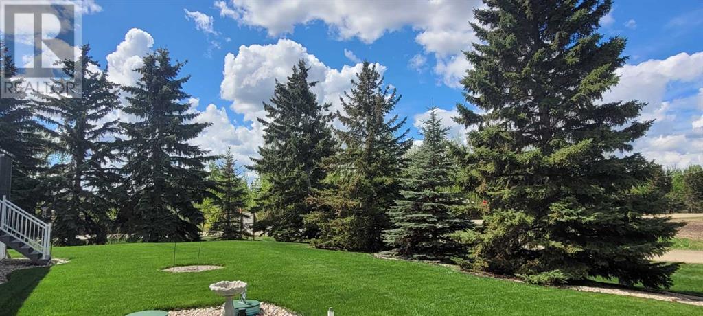 4 Birch Meadows, Gull Lake, Alberta  T0C 0J0 - Photo 4 - A2197062