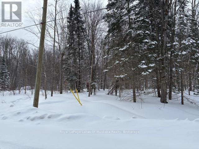 59 Summer Leigh Trail, Huntsville, Ontario  P0B 1M0 - Photo 2 - X11993856