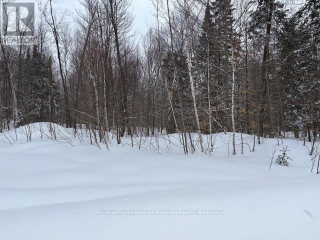 59 Summer Leigh Trail, Huntsville, Ontario  P0B 1M0 - Photo 5 - X11993856