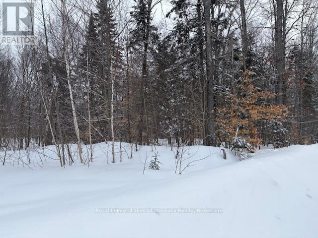 59 Summer Leigh Trail, Huntsville, Ontario  P0B 1M0 - Photo 7 - X11993856