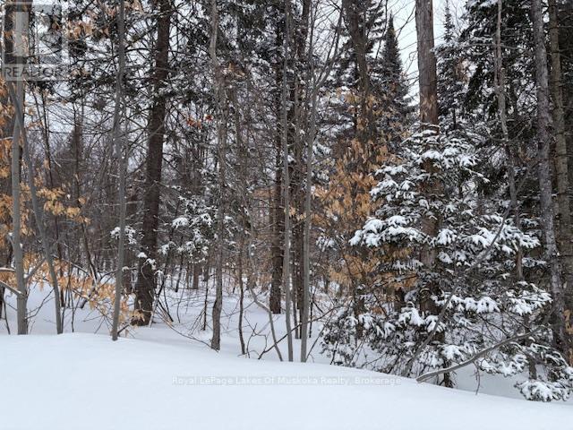 59 Summer Leigh Trail, Huntsville, Ontario  P0B 1M0 - Photo 8 - X11993856