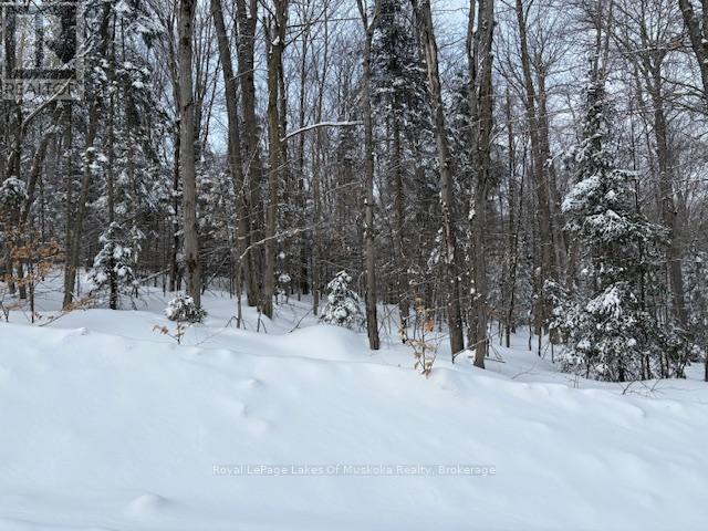 1788 Old Muskoka Road, Huntsville, Ontario  P0B 1M0 - Photo 8 - X11993861