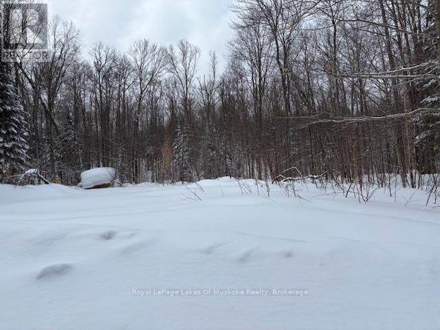 48 Summer Leigh Trail, Huntsville, Ontario  P0B 1M0 - Photo 4 - X11993917