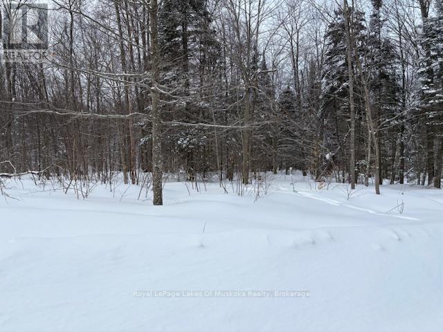 48 Summer Leigh Trail, Huntsville, Ontario  P0B 1M0 - Photo 7 - X11993917