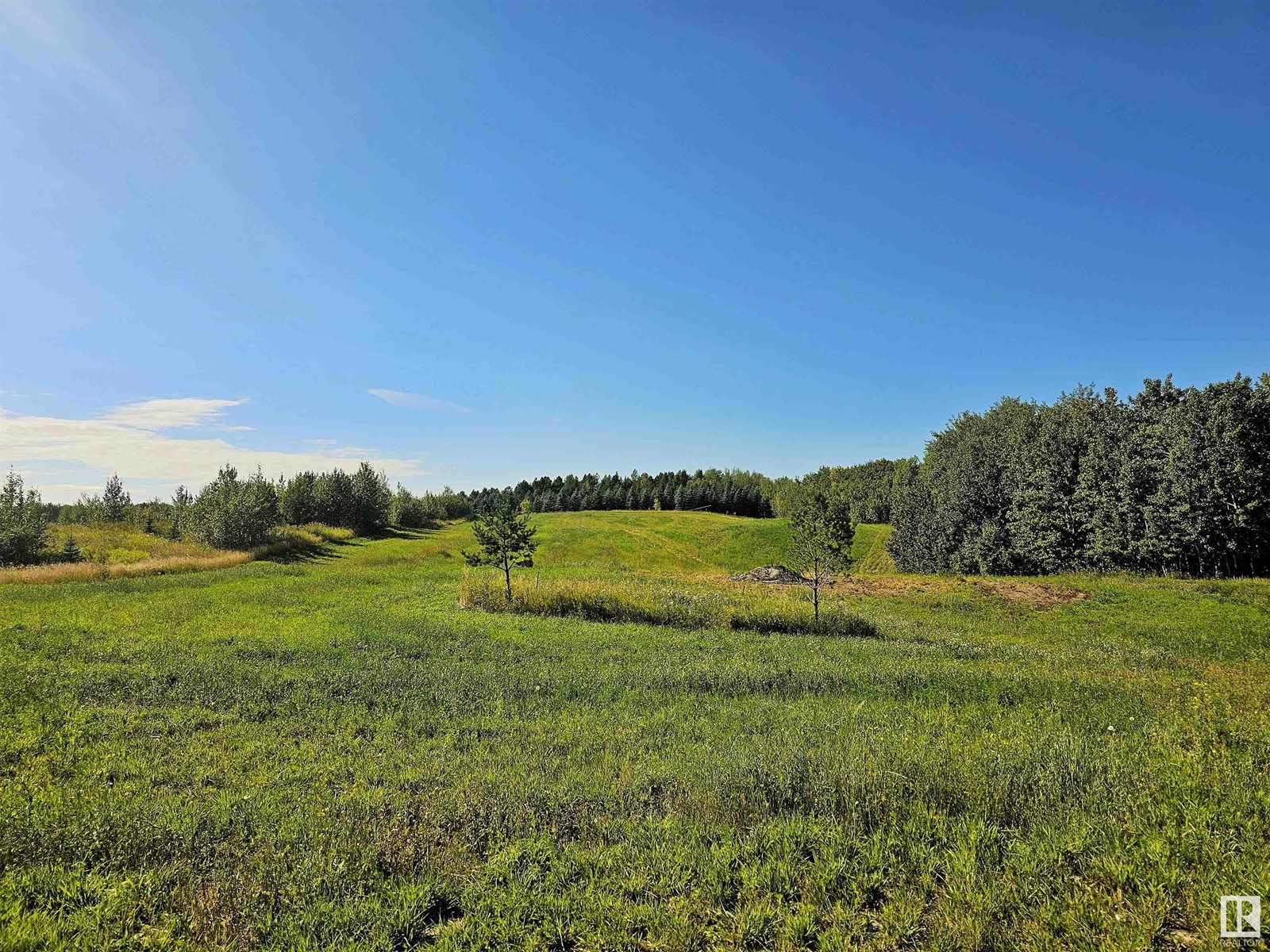 1009 Township Road 540, Rural Parkland County, Alberta  T7Y 0A6 - Photo 13 - E4423523