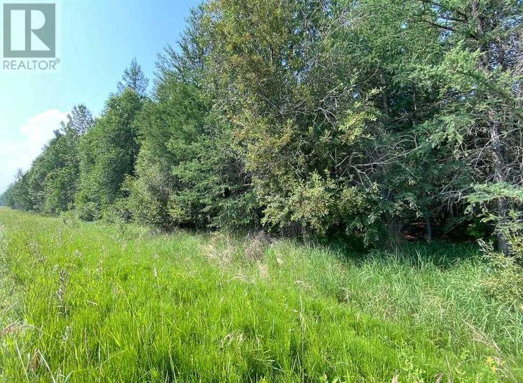 Se-4-59-6-W5 590 Township, Rural Lac Ste. Anne County, Alberta  T0E 2A0 - Photo 10 - A2196473