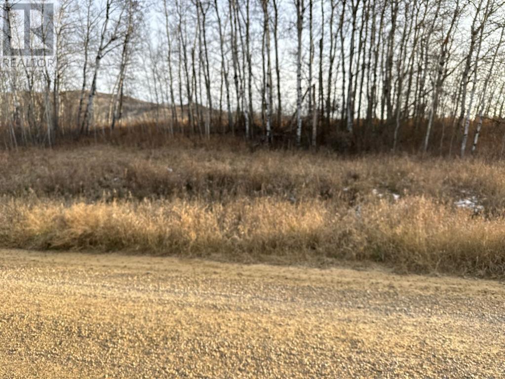 ... 132 Avenue, Peace River, Alberta  T8S 1W8 - Photo 3 - A2198324