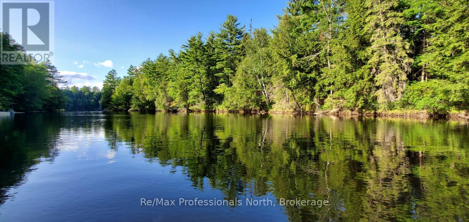 269 Balsam Chutes Road, Huntsville, Ontario  P0B 1L0 - Photo 7 - X11995270