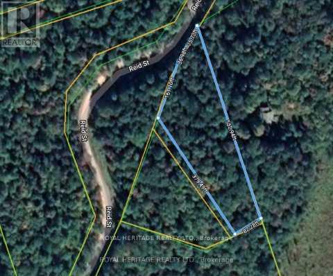 0a Reid Street, Trent Lakes, Ontario  K0M 2A0 - Photo 1 - X11995277