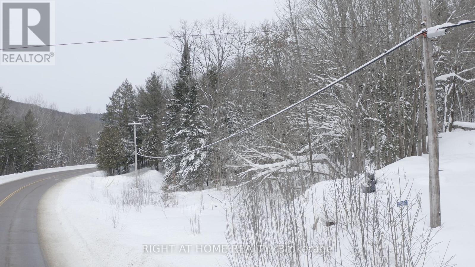 22382 Highway 35 Highway, Lake Of Bays (Ridout), Ontario  P0A 1E0 - Photo 10 - X11995372