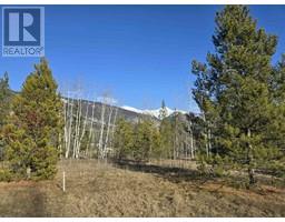 Lot 1 13th Avenue, Valemount, Ca