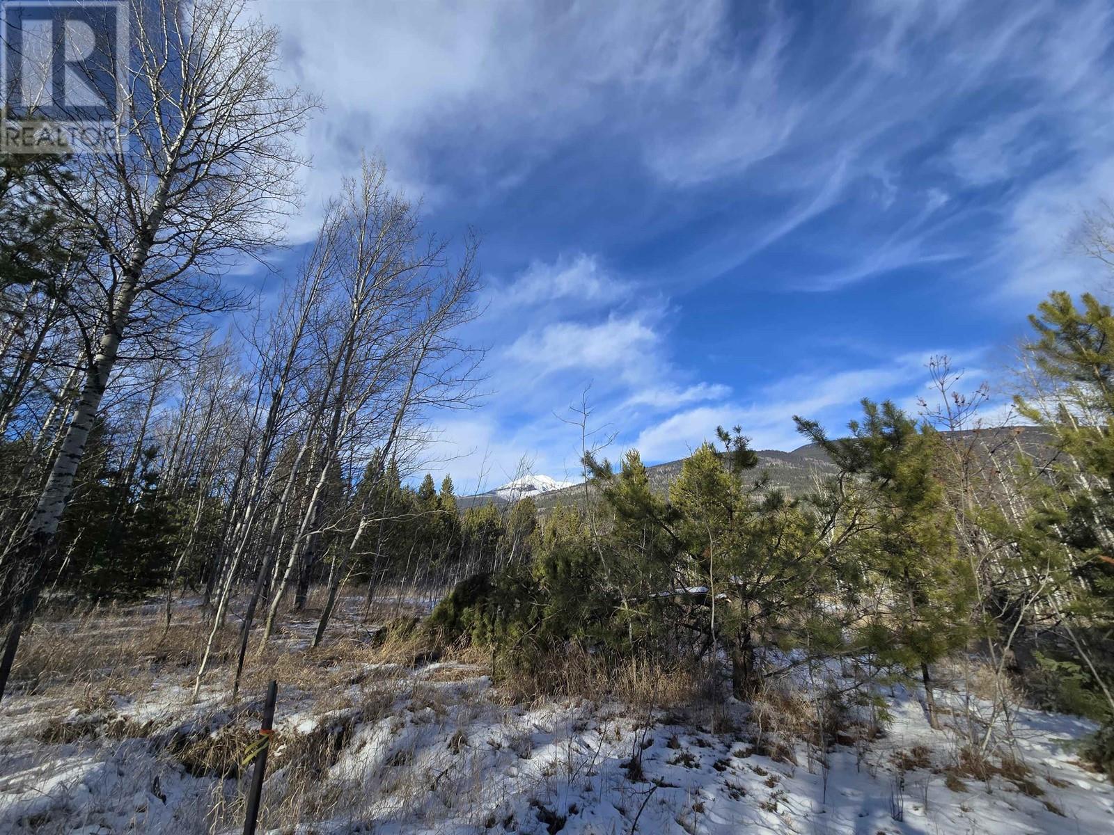 Property at LOT 1 13TH AVENUE image 3