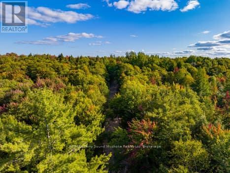 0 Axe Lake Road, Mcmurrich/monteith, Ontario  P0A 1Y0 - Photo 1 - X11995582