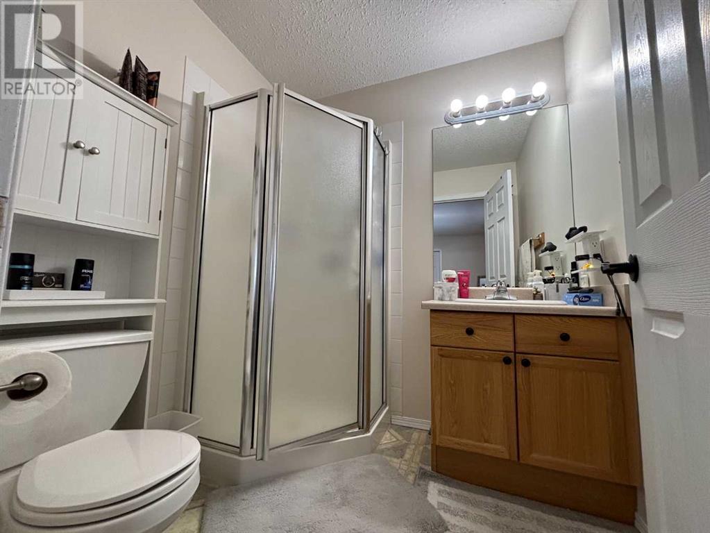 10 Reed Place, Whitecourt, Alberta  T7S 1V8 - Photo 15 - A2193453