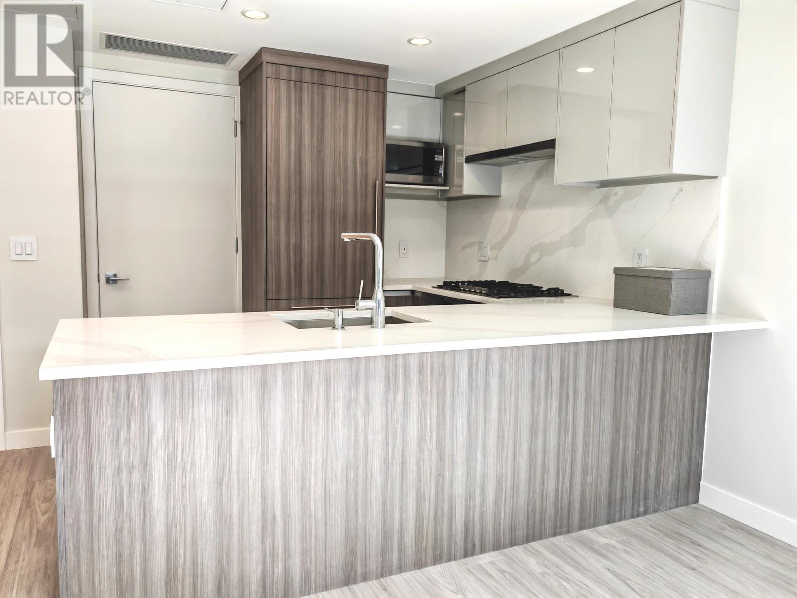 207 485 W 63rd Avenue, Vancouver, British Columbia  V5X 2J3 - Photo 7 - R2969712