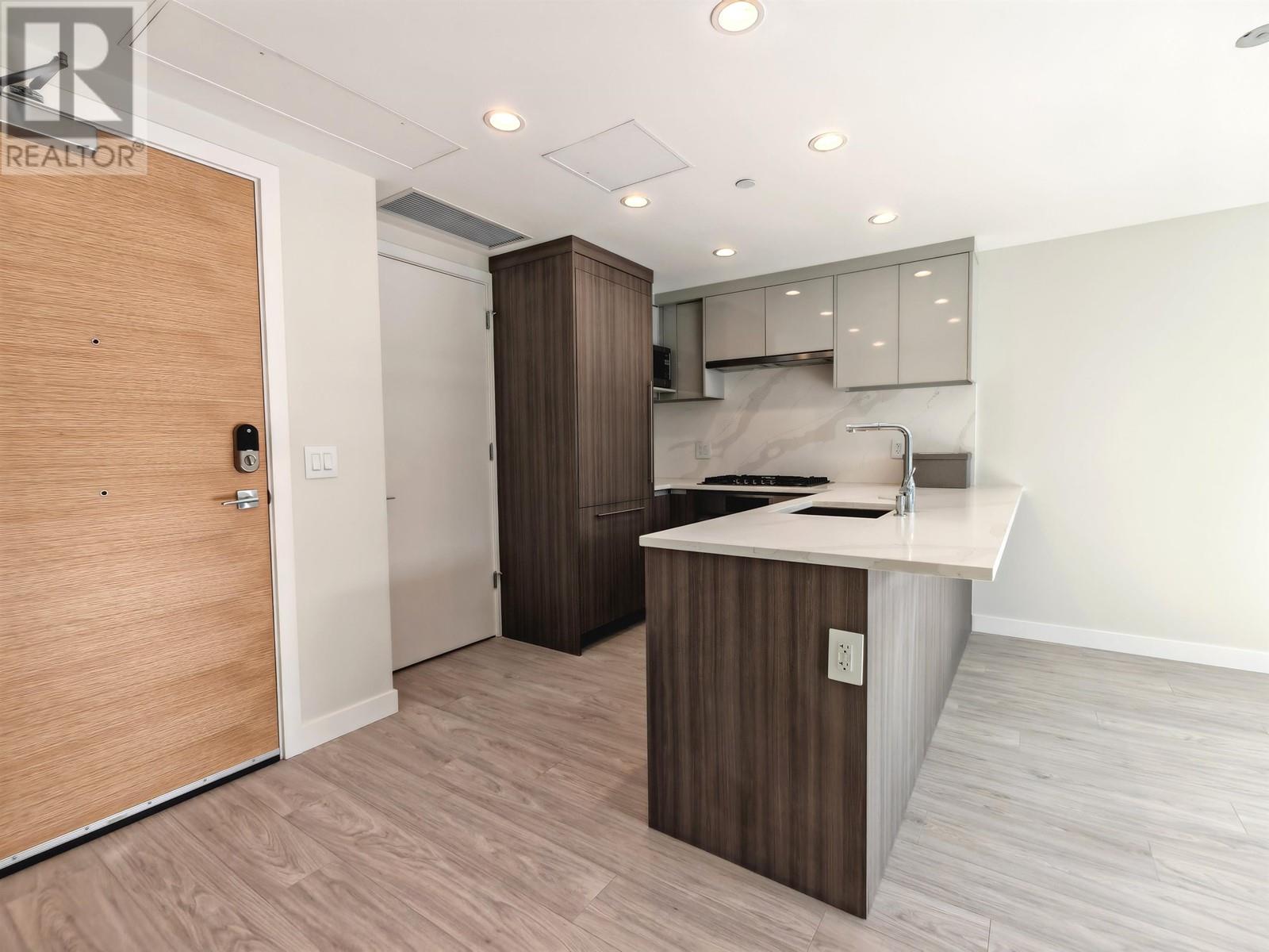 207 485 W 63rd Avenue, Vancouver, British Columbia  V5X 2J3 - Photo 3 - R2969712