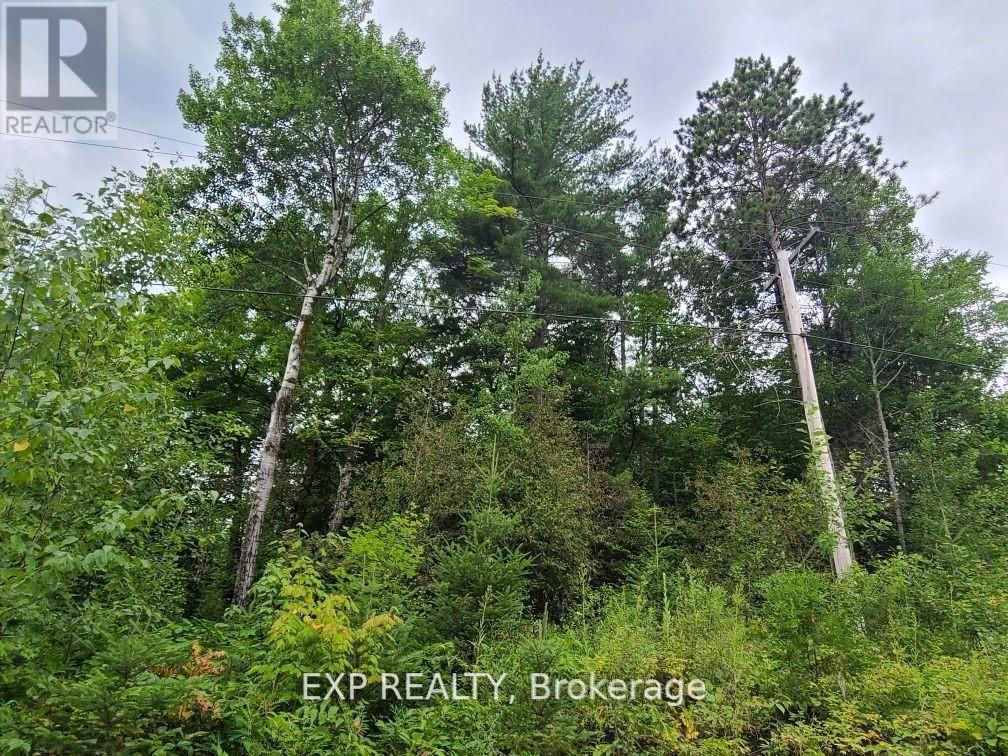 20 PEPLINSKI HOMESTEAD ROAD, Madawaska Valley, Ontario