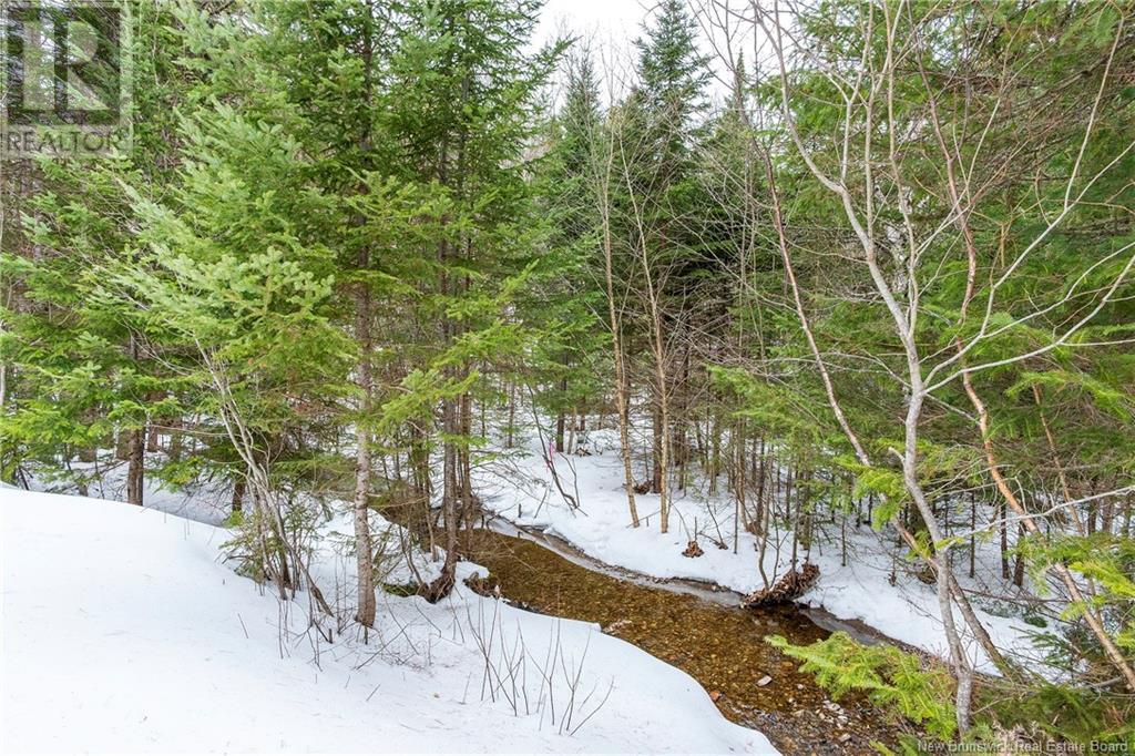45 Prosser Brook Road, Rosevale, New Brunswick  E4H 1A3 - Photo 16 - NB113355