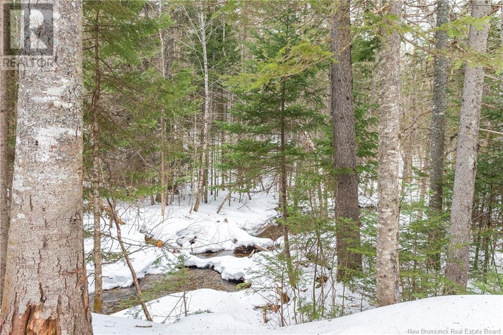 45 Prosser Brook Road, Rosevale, New Brunswick  E4H 1A3 - Photo 18 - NB113355