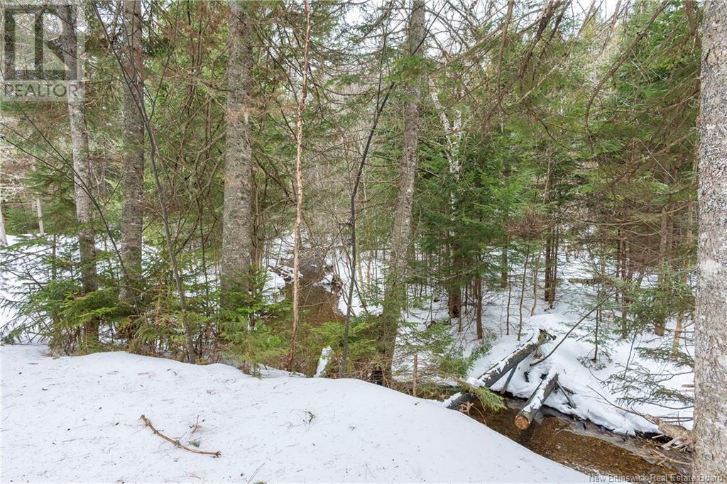 45 Prosser Brook Road, Rosevale, New Brunswick  E4H 1A3 - Photo 19 - NB113355