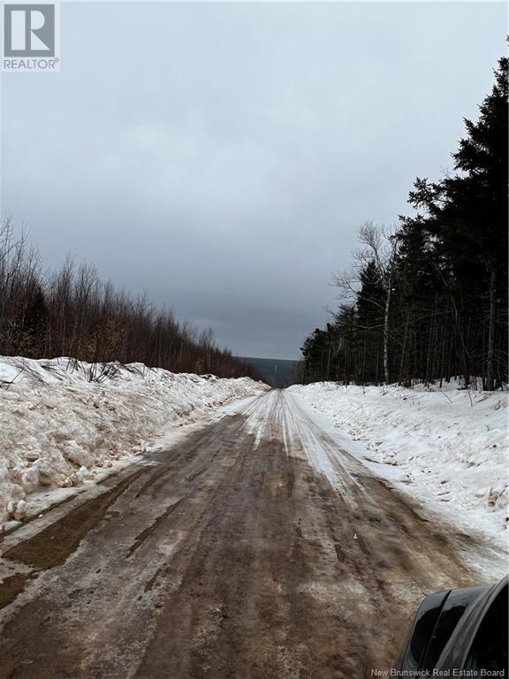 45 Prosser Brook Road, Rosevale, New Brunswick  E4H 1A3 - Photo 50 - NB113355