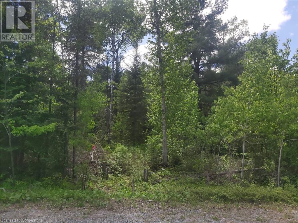 N/a Nepewassi Lake Road, Markstay-Warren, Ontario  P0M 2G0 - Photo 2 - 40701918