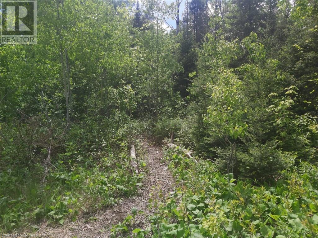 N/a Nepewassi Lake Road, Markstay-Warren, Ontario  P0M 2G0 - Photo 3 - 40701918
