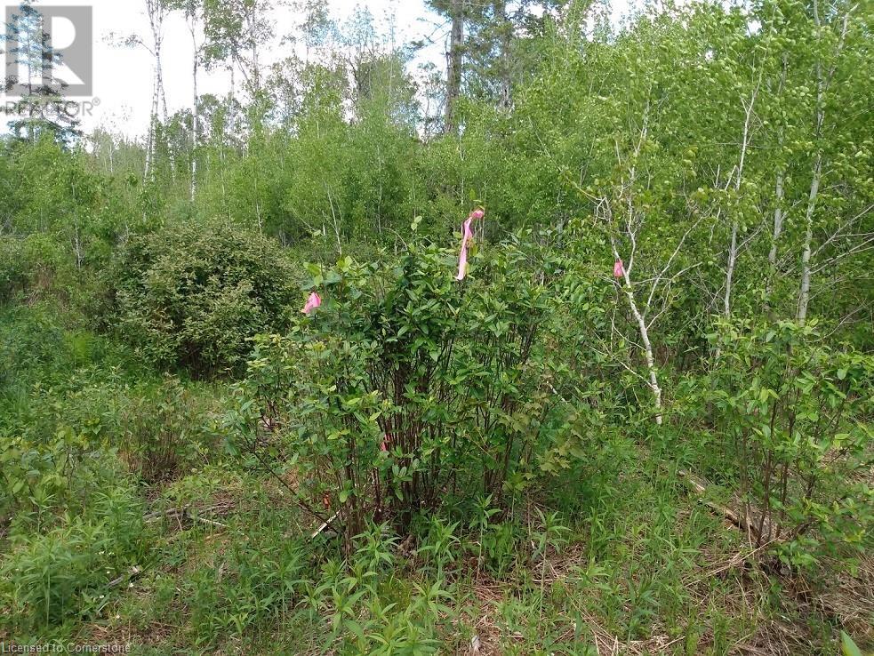 N/a Nepewassi Lake Road, Markstay-Warren, Ontario  P0M 2G0 - Photo 4 - 40701918