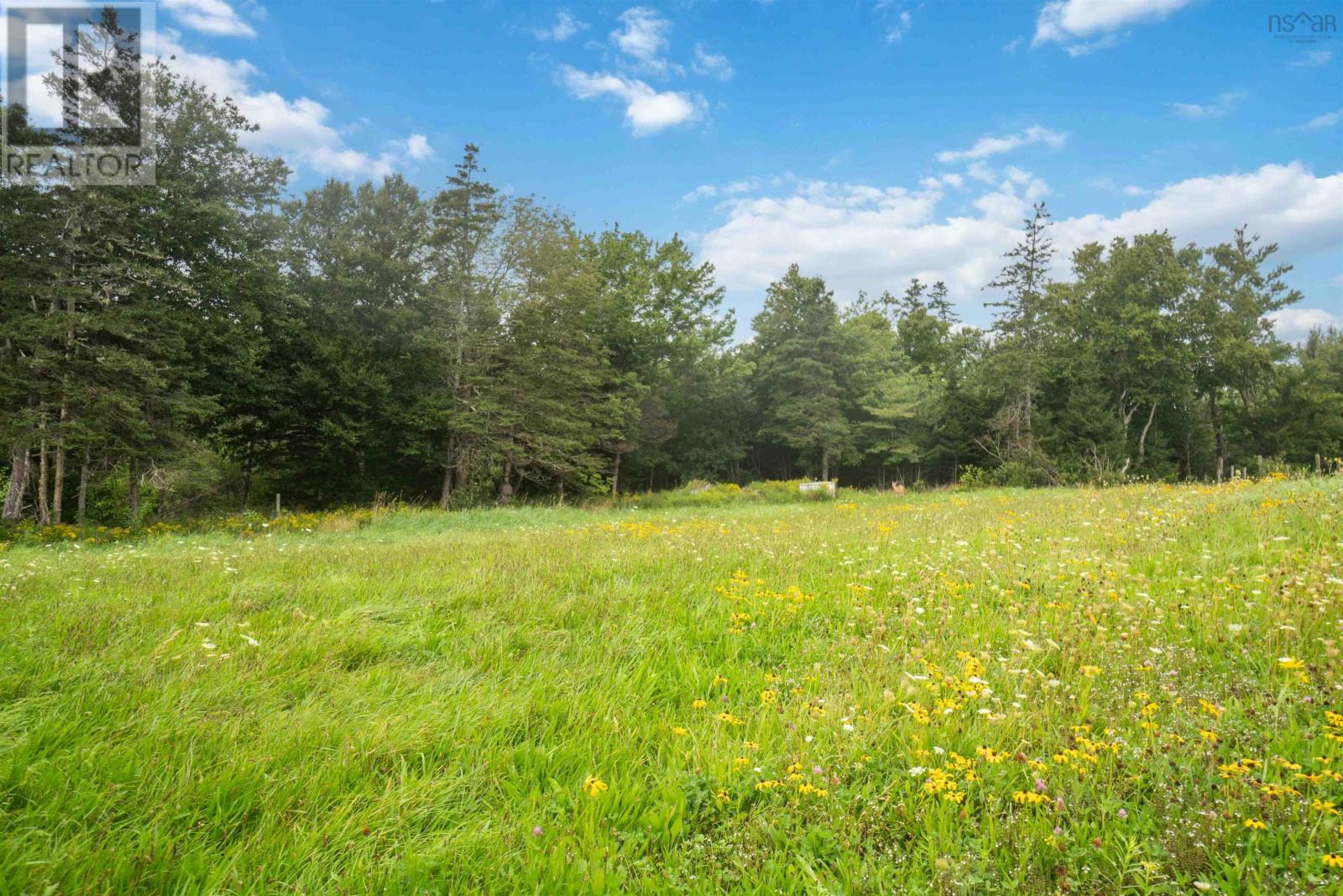 8835 Highway 217, Waterford, Nova Scotia  B0V 1A0 - Photo 17 - 202503892