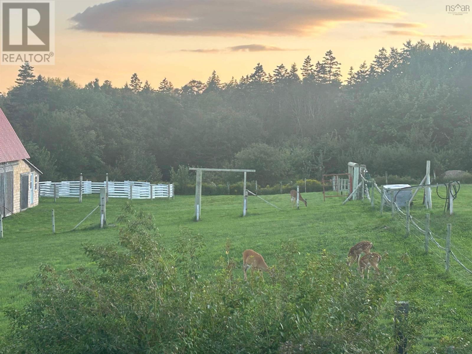 8835 Highway 217, Waterford, Nova Scotia  B0V 1A0 - Photo 18 - 202503892