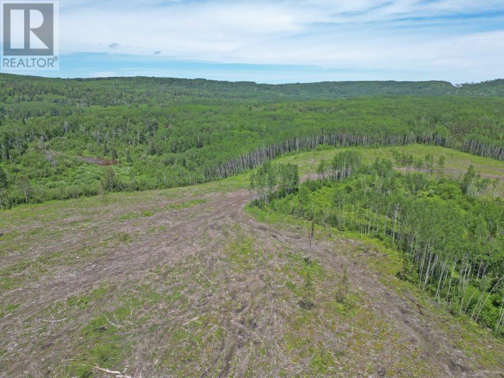 Part 1 Larson Road, Neebing, Ontario  P7L 0A4 - Photo 10 - TB250384