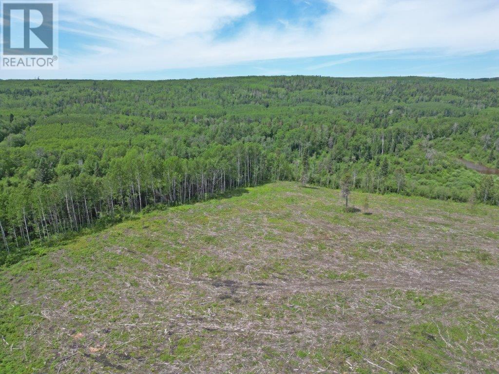 Part 1 Larson Road, Neebing, Ontario  P7L 0A4 - Photo 11 - TB250384
