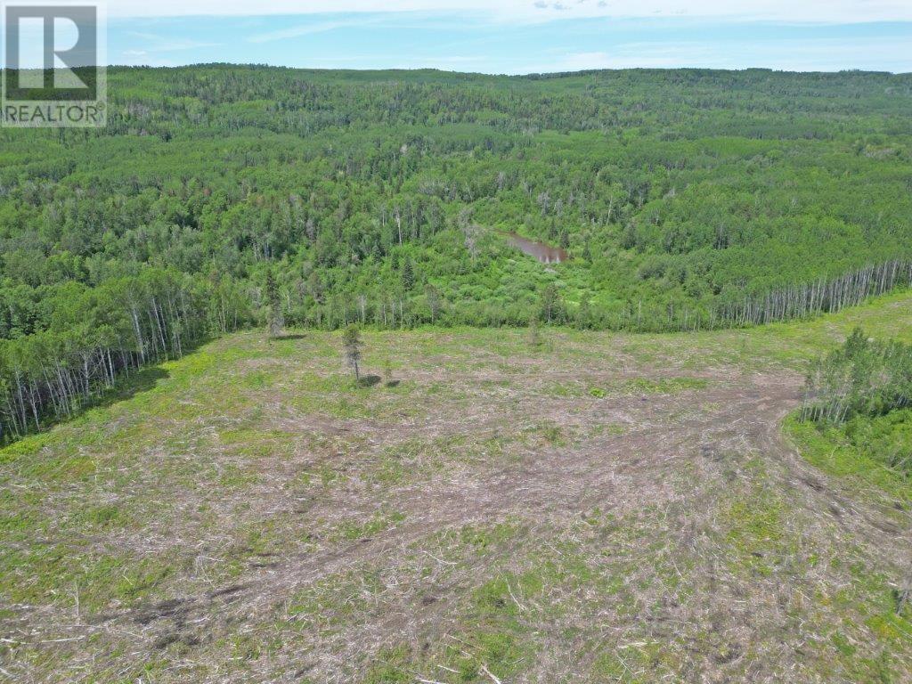 Part 1 Larson Road, Neebing, Ontario  P7L 0A4 - Photo 12 - TB250384