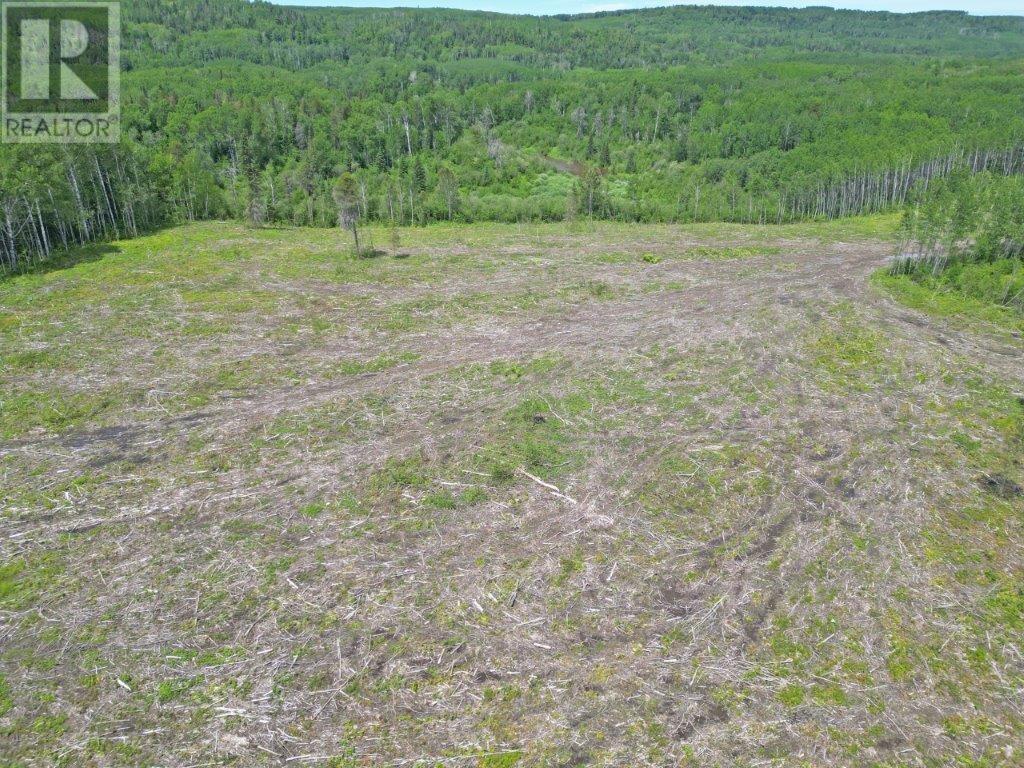 Part 1 Larson Road, Neebing, Ontario  P7L 0A4 - Photo 13 - TB250384