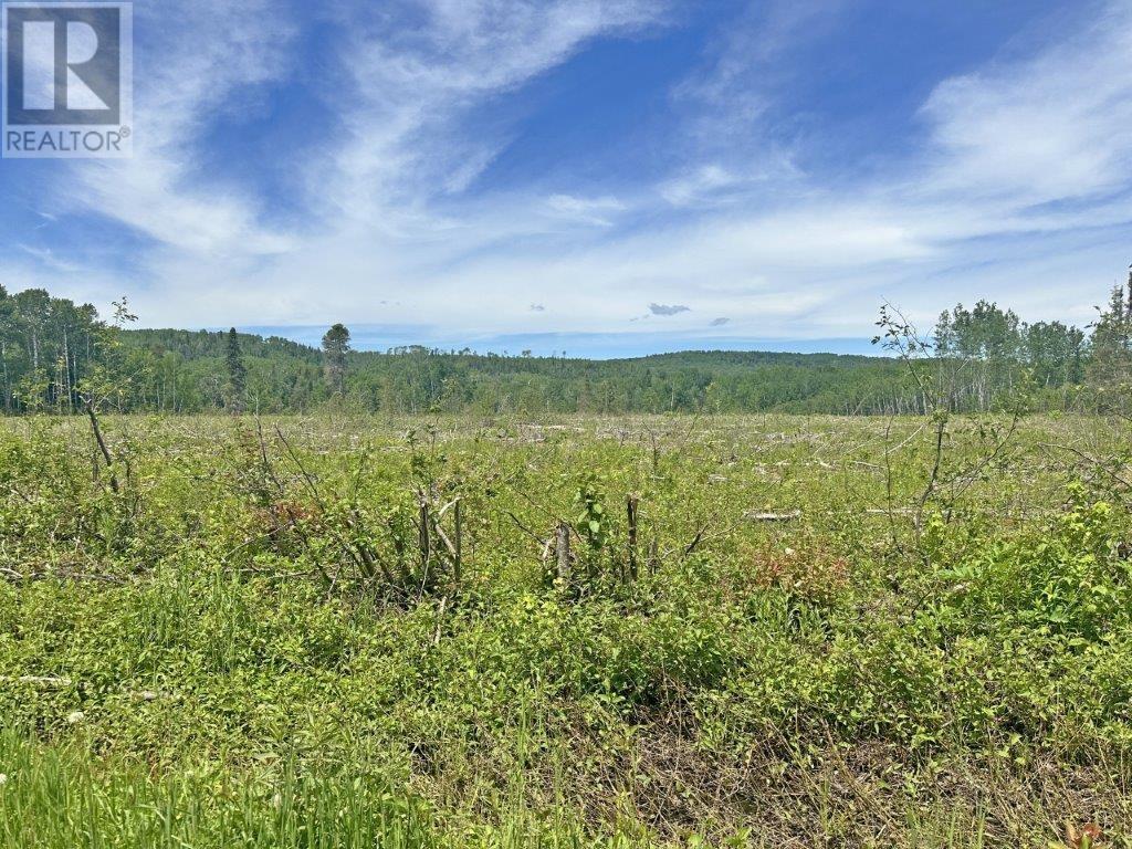 Part 1 Larson Road, Neebing, Ontario  P7L 0A4 - Photo 16 - TB250384